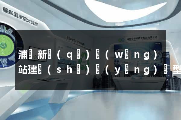浦東新區(qū)網(wǎng)站建設(shè)營(yíng)銷型