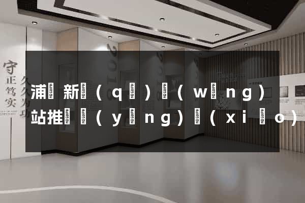浦東新區(qū)網(wǎng)站推廣營(yíng)銷(xiāo)
