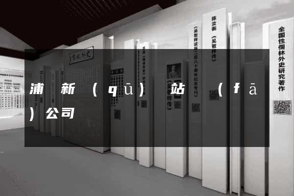 浦東新區(qū)網站開發(fā)公司