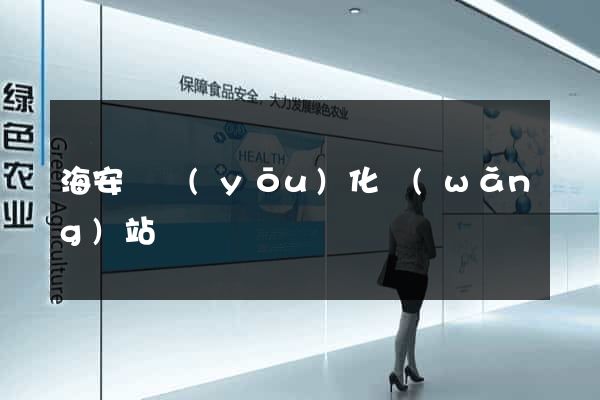 海安縣優(yōu)化網(wǎng)站