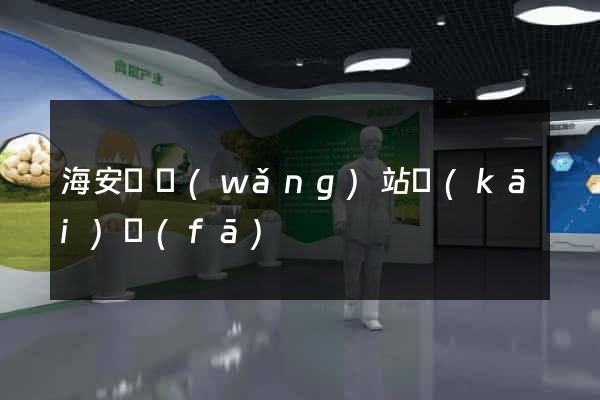 海安縣網(wǎng)站開(kāi)發(fā)