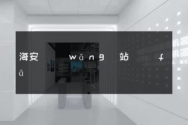 海安縣網(wǎng)站開發(fā)
