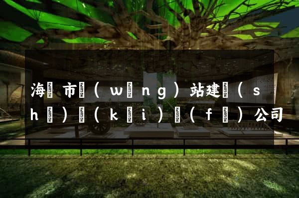 海寧市網(wǎng)站建設(shè)開(kāi)發(fā)公司