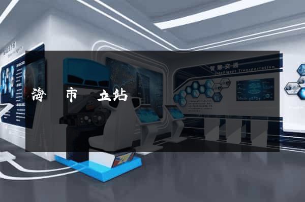 海門市獨立站運營