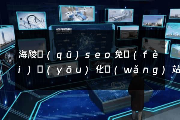 海陵區(qū)seo免費(fèi)優(yōu)化網(wǎng)站