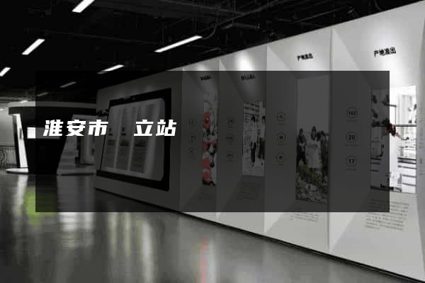 淮安市獨立站運營