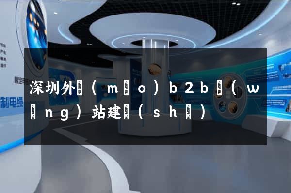 深圳外貿(mào)b2b網(wǎng)站建設(shè)
