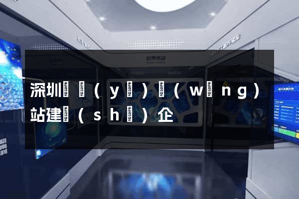 深圳專業(yè)網(wǎng)站建設(shè)企
