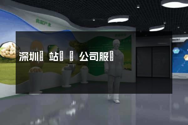 深圳網站設計公司服務