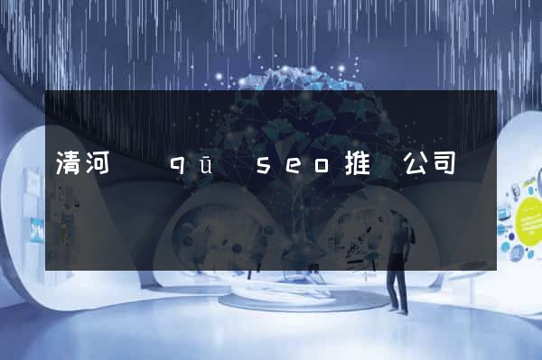 清河區(qū)seo推廣公司