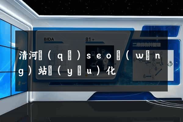 清河區(qū)seo網(wǎng)站優(yōu)化