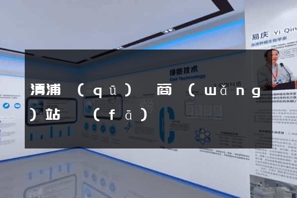 清浦區(qū)電商網(wǎng)站開發(fā)