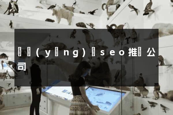 渦陽(yáng)縣seo推廣公司