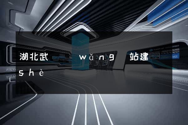 湖北武漢網(wǎng)站建設(shè)