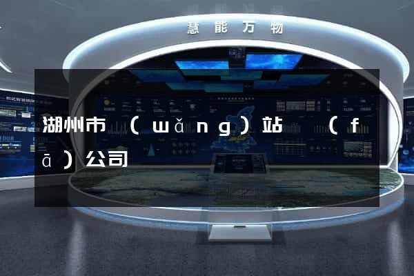 湖州市網(wǎng)站開發(fā)公司