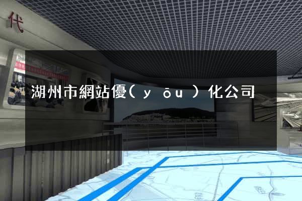 湖州市網站優(yōu)化公司