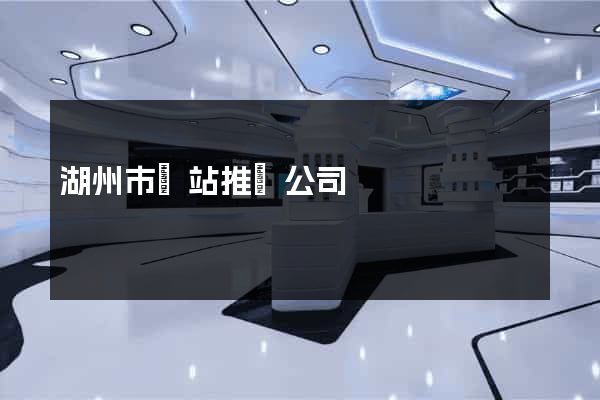 湖州市網站推廣公司