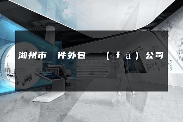 湖州市軟件外包開發(fā)公司