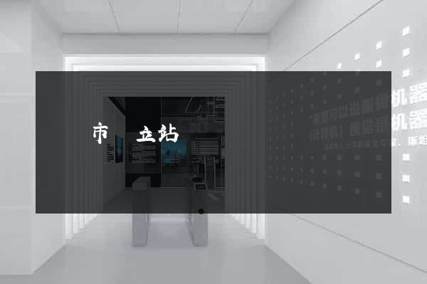 溫嶺市獨立站運營