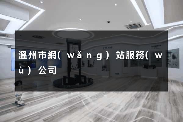 溫州市網(wǎng)站服務(wù)公司