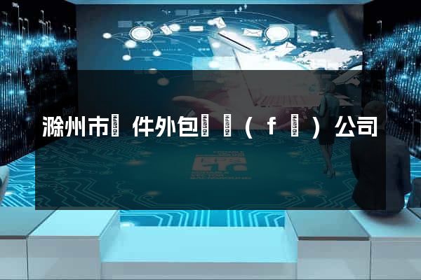 滁州市軟件外包開發(fā)公司