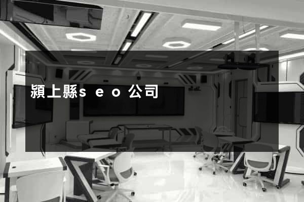 潁上縣seo公司