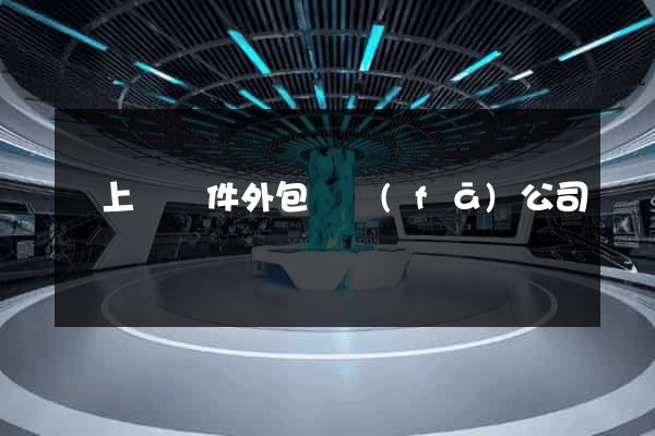 潁上縣軟件外包開發(fā)公司
