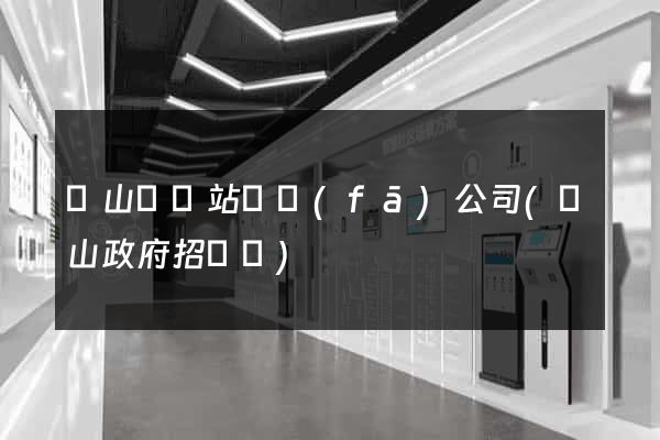 潛山縣網站開發(fā)公司(潛山政府招標網)