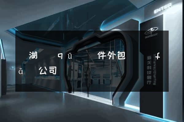 濱湖區(qū)軟件外包開發(fā)公司