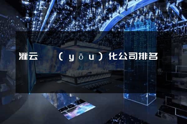 灌云縣優(yōu)化公司排名
