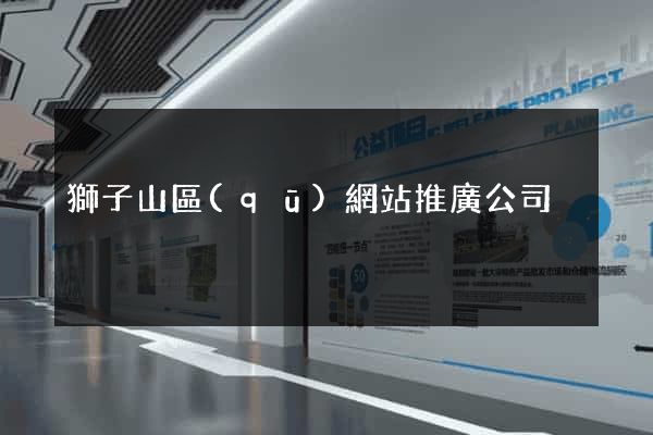 獅子山區(qū)網站推廣公司