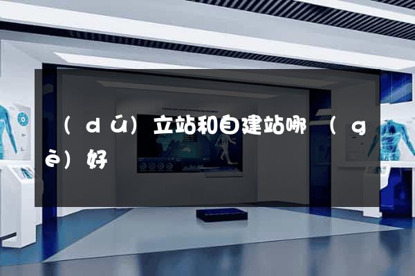 獨(dú)立站和自建站哪個(gè)好