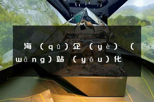 瑤海區(qū)企業(yè)網(wǎng)站優(yōu)化