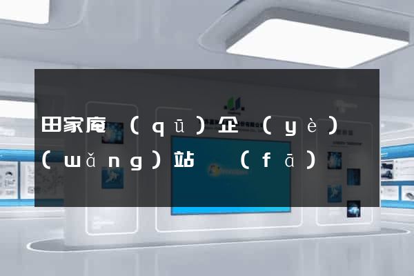 田家庵區(qū)企業(yè)網(wǎng)站開發(fā)