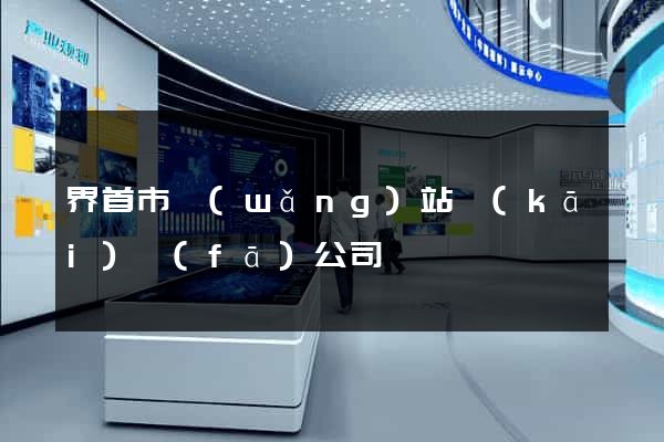 界首市網(wǎng)站開(kāi)發(fā)公司