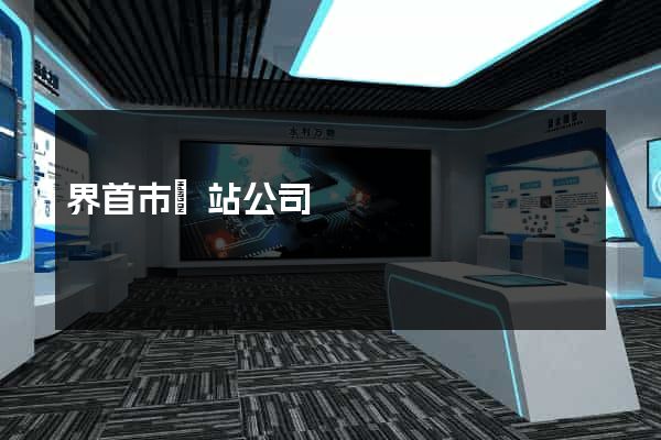 界首市網站公司