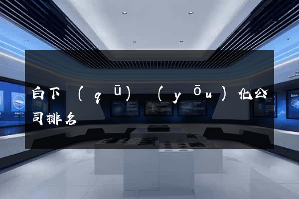 白下區(qū)優(yōu)化公司排名