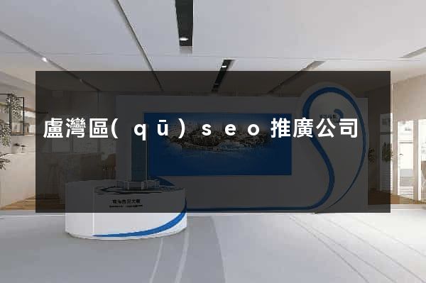 盧灣區(qū)seo推廣公司