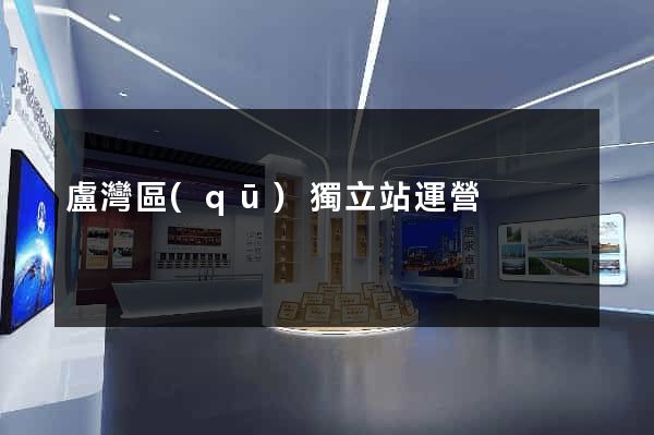 盧灣區(qū)獨立站運營