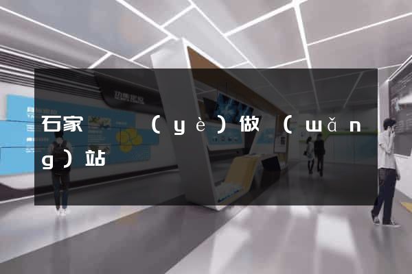 石家莊專業(yè)做網(wǎng)站