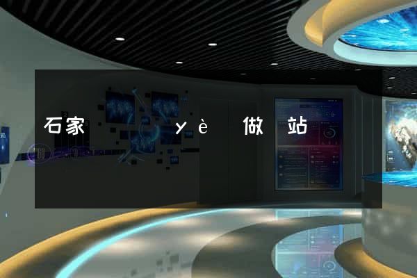 石家莊專業(yè)做網站