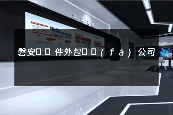 磐安縣軟件外包開發(fā)公司