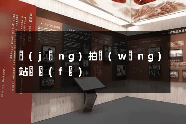 競(jìng)拍網(wǎng)站開發(fā)