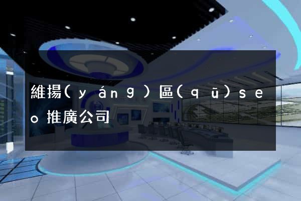 維揚(yáng)區(qū)seo推廣公司
