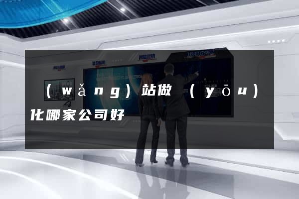 網(wǎng)站做優(yōu)化哪家公司好