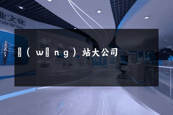 網(wǎng)站大公司