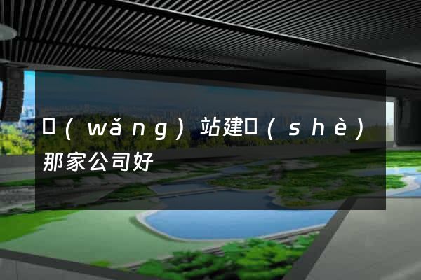 網(wǎng)站建設(shè)那家公司好