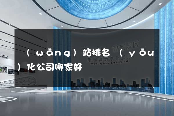 網(wǎng)站排名優(yōu)化公司哪家好