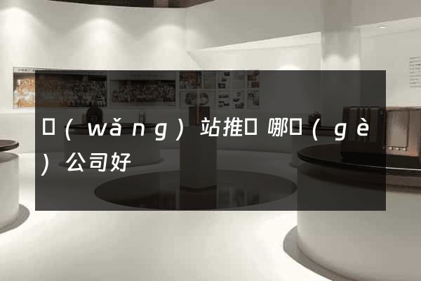 網(wǎng)站推廣哪個(gè)公司好