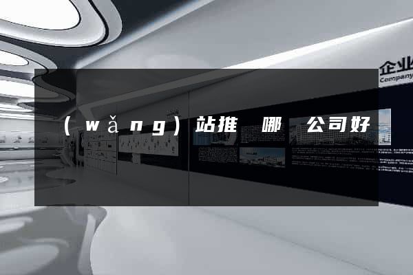 網(wǎng)站推廣哪個公司好